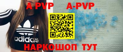 индика Камышлов