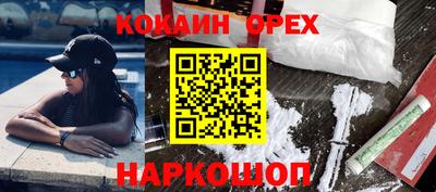 индика Камышлов