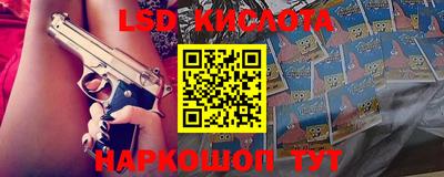 индика Камышлов