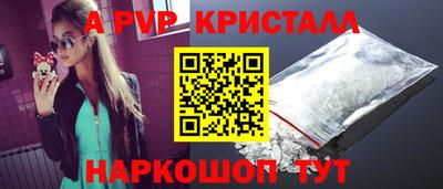 индика Камышлов