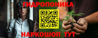 индика Камышлов