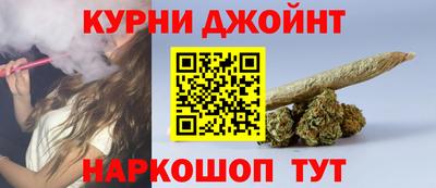индика Камышлов