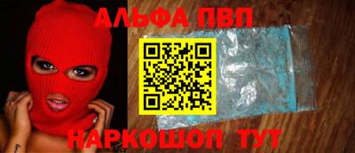 индика Камышлов