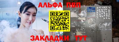индика Камышлов