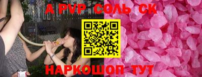 индика Камышлов