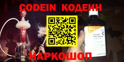 индика Камышлов