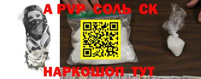 индика Камышлов