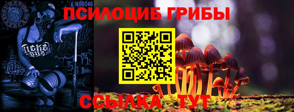 Псилоцибиновые грибы Cubensis Красноярск